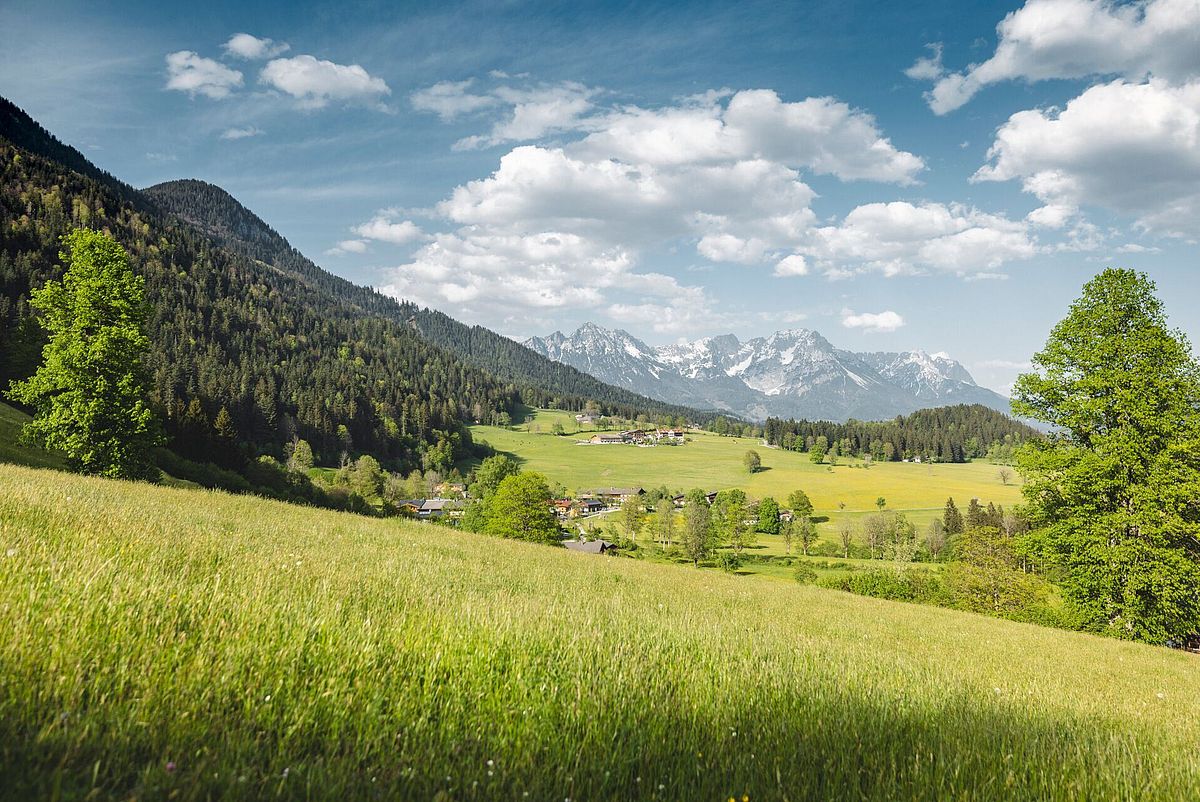 Sunnseitweg in Söll mit grünen Wiesen und Blick auf den Wilden Kaiser