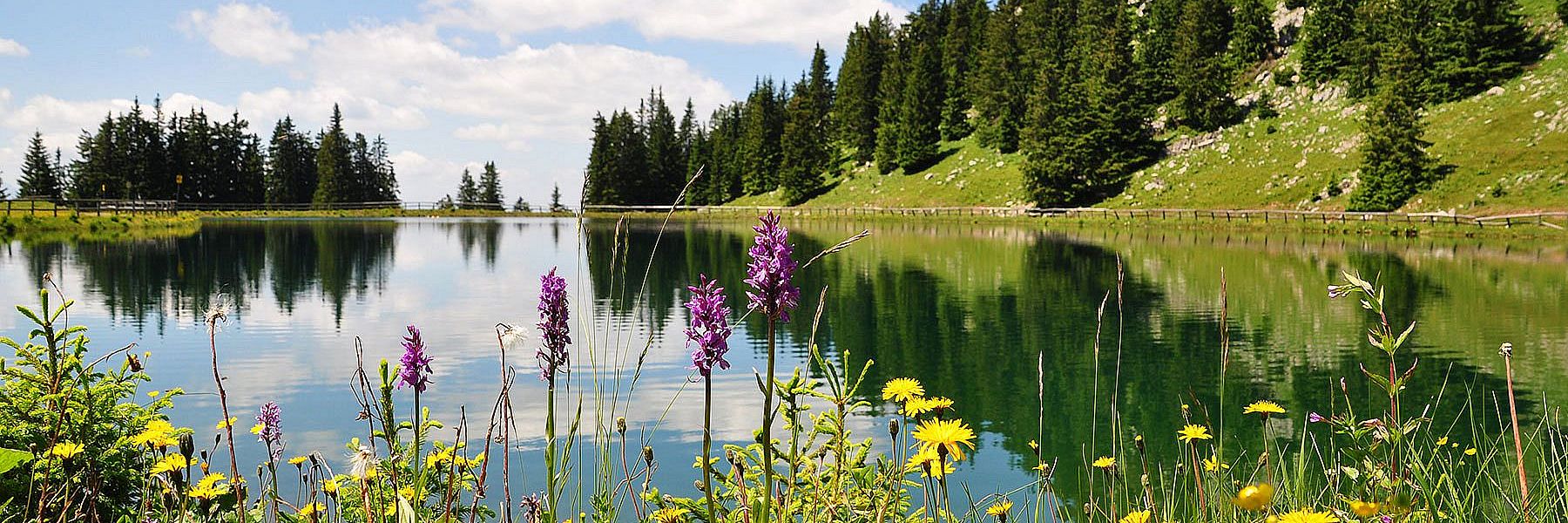 Single Urlaub am Wilden Kaiser